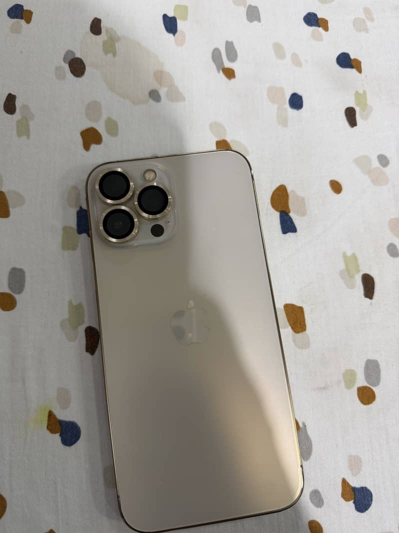Apple iPhone 13 Pro Max 3