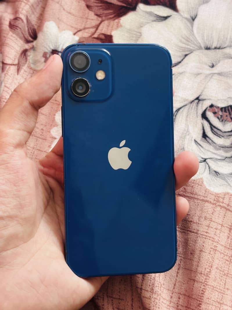 Apple iPhone 12 mini 1