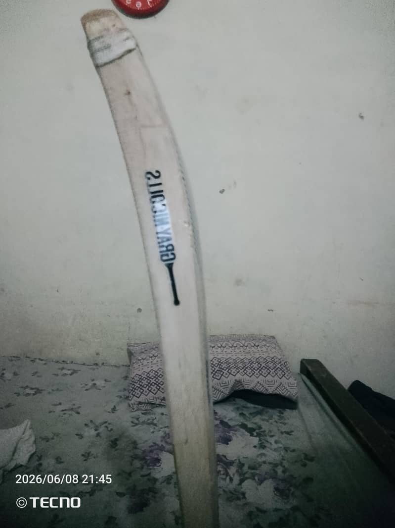 coconut bat 2