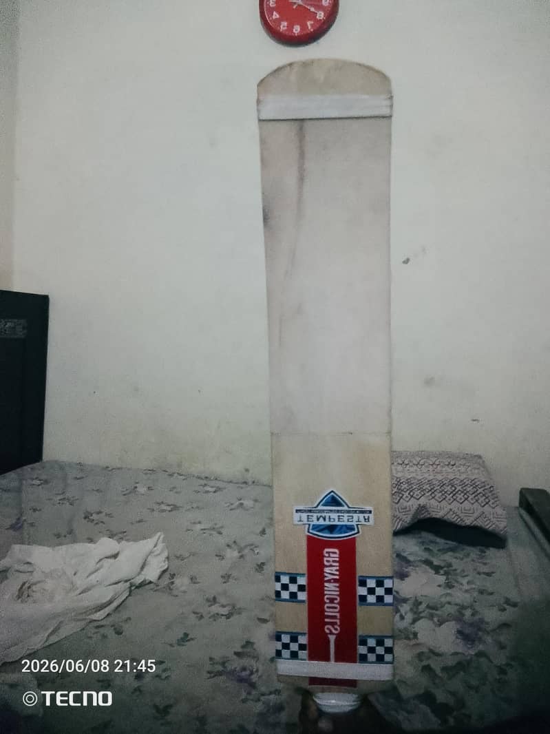 coconut bat 3