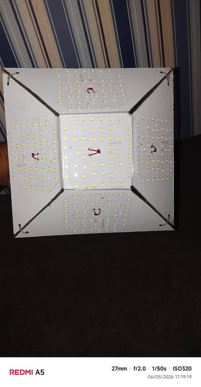Desi LED Light
