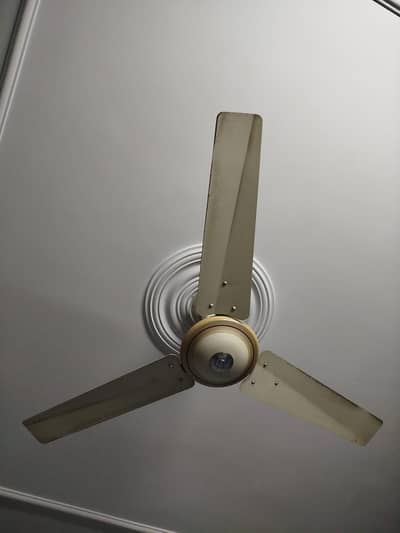 GFC Ceiling Fans for sale