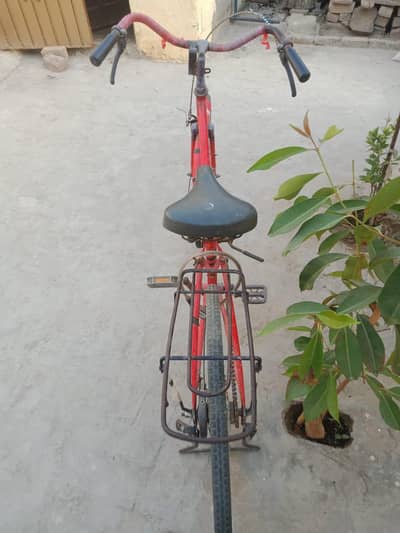 japani cycle for sale urgent ?
