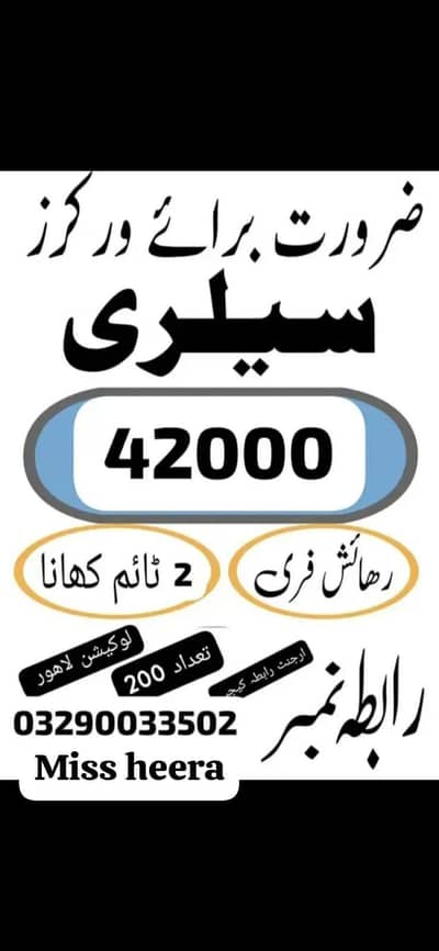 need urgent staff biscuits packing factory jobs male and female jobs