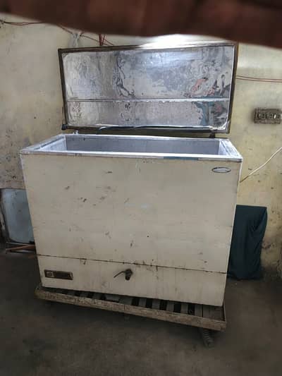 Chelar ha milk Wala