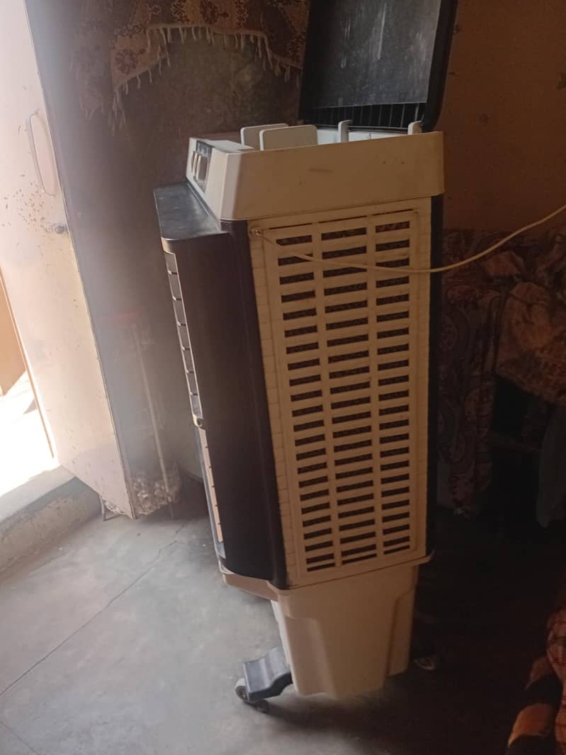 2 Year use only 1