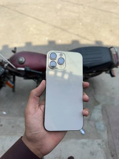 Apple iPhone 13 Pro Max