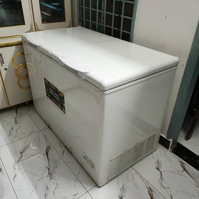 double door deepfreezer