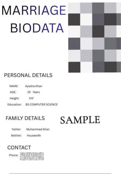 Professional  Marriage Biodata in 2 Hours | RS 500