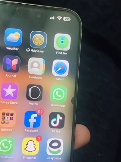 Apple iPhone 16 Pro Max PTA