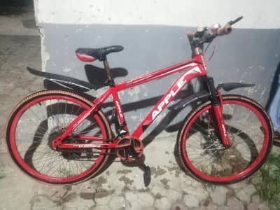 Dubai imported special ram cycle