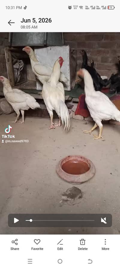 hira pear bohat achi chez hai