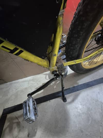 electric cycle