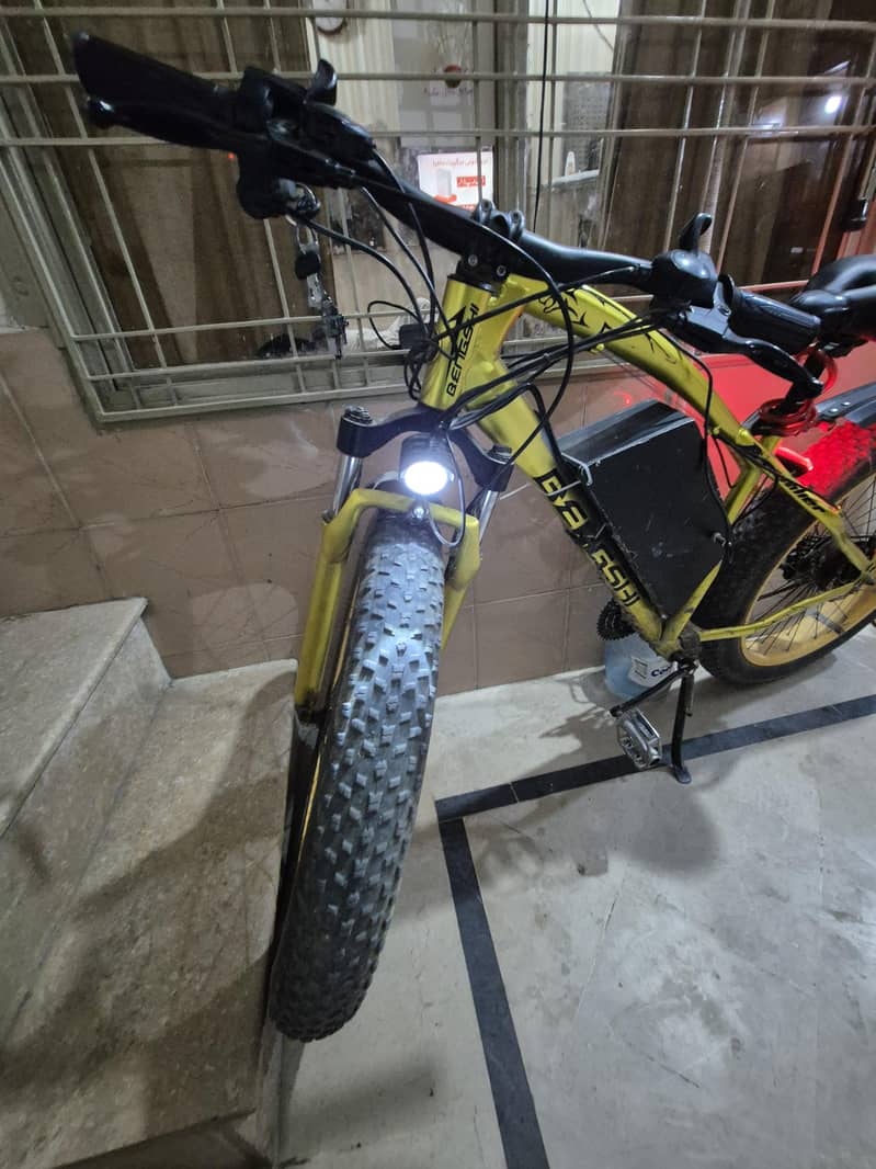 electric cycle 1