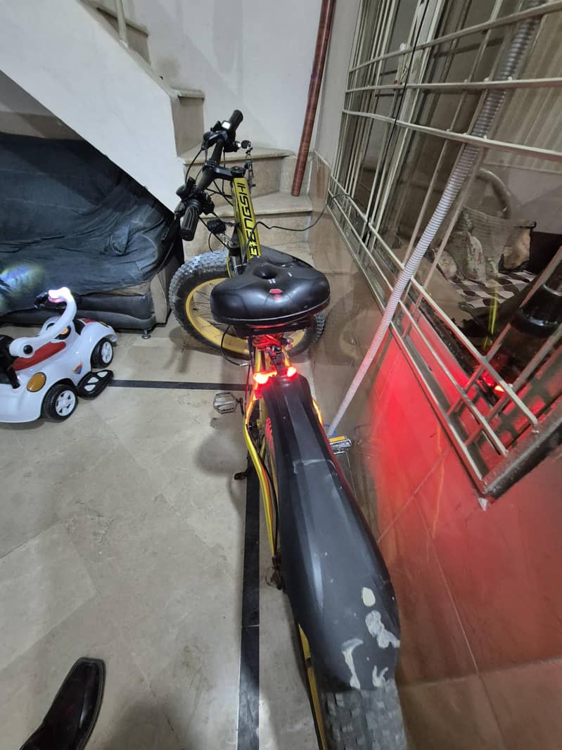 electric cycle 2