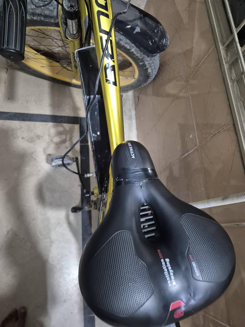 electric cycle 5