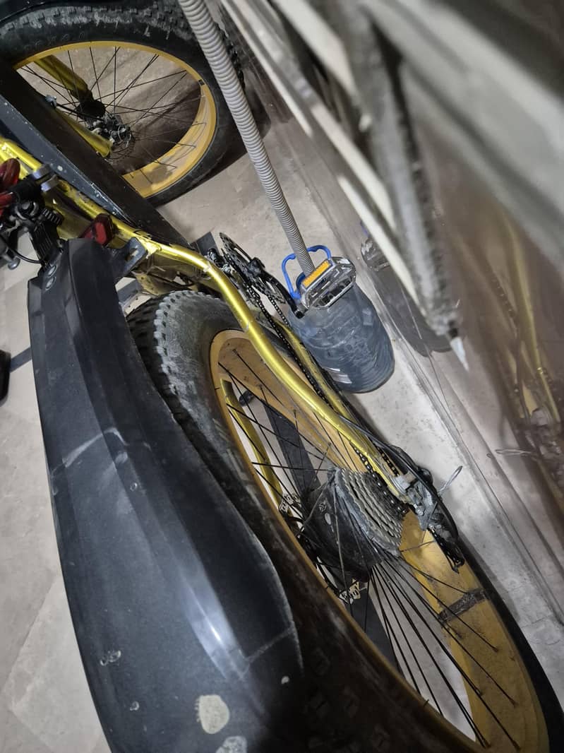electric cycle 6