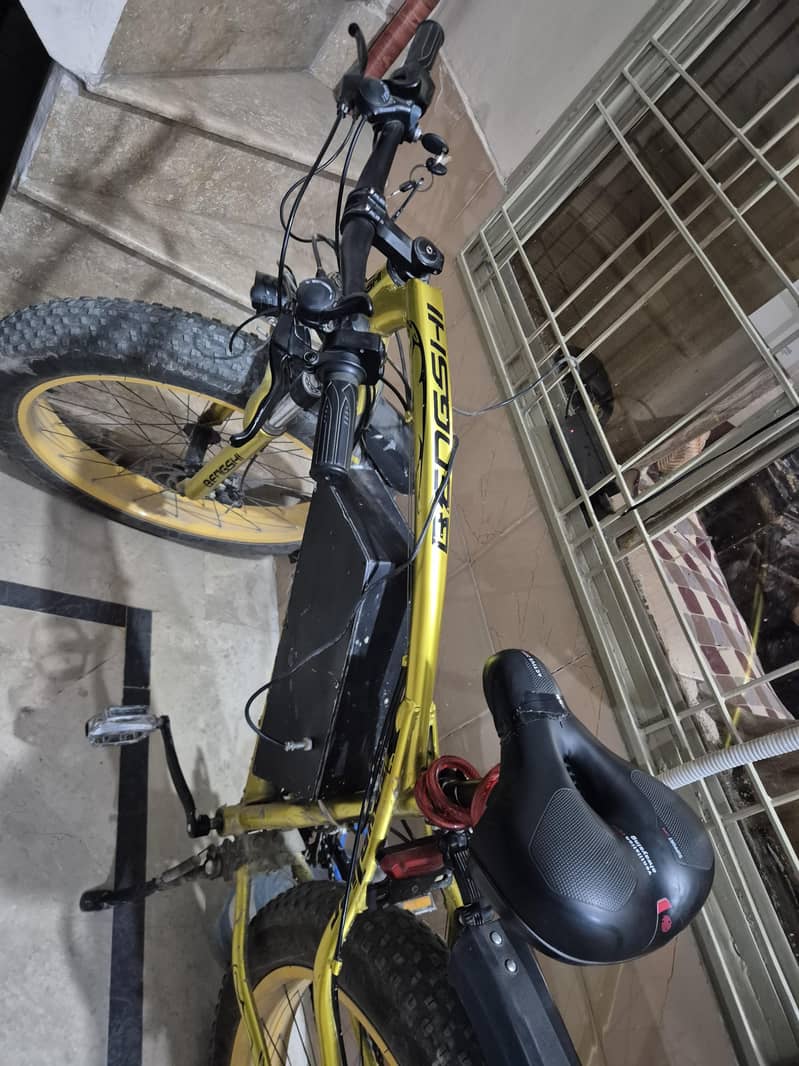 electric cycle 8
