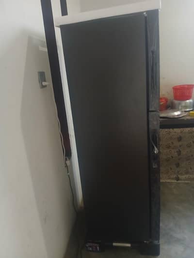 frigetor Haier