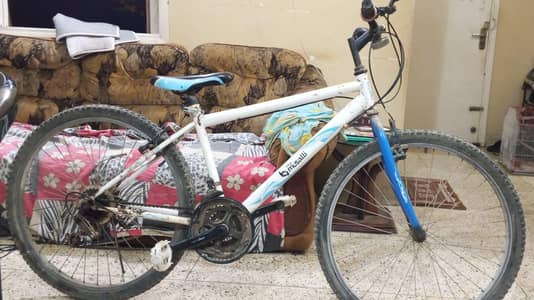 7 gear imported bicycle