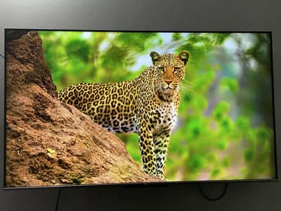 TCL 55 inch LED Home Used Almost 1 year