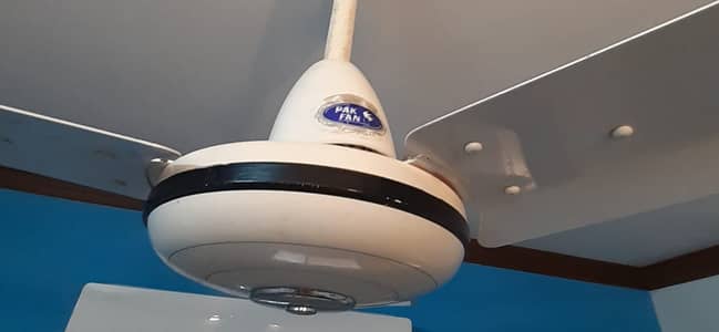 Pak Fan in perfect Condition 10/10