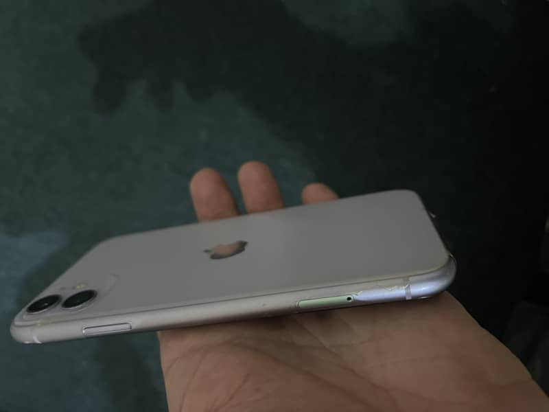 Apple iPhone 11 0