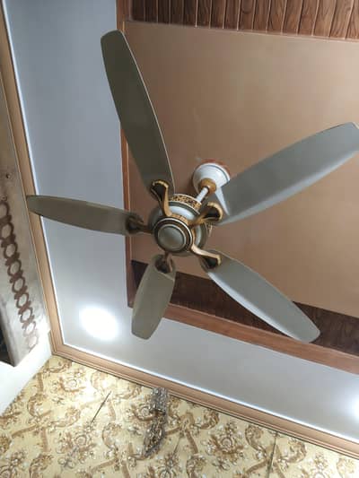 2 fans