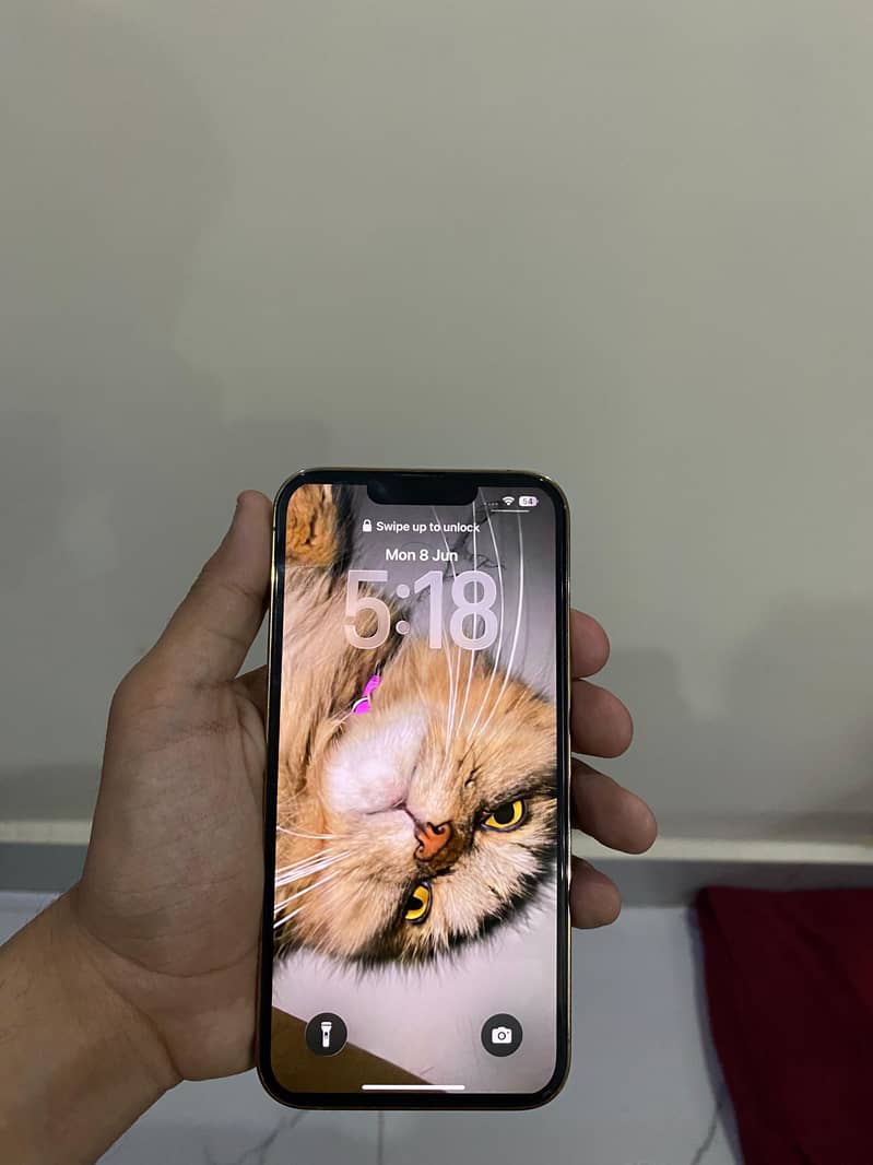 Apple iPhone 13 Pro 1