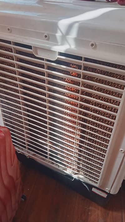 new condition only  one season use  100% copper  jumbo size