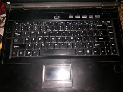 lam company laptop  screen death other all okay