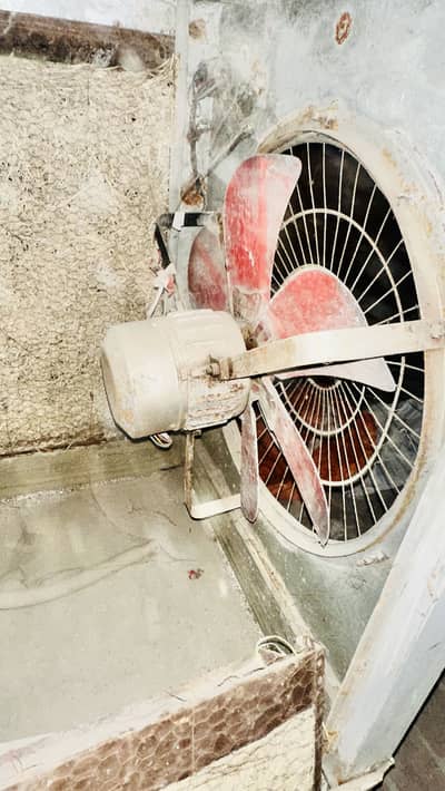 Water cooler