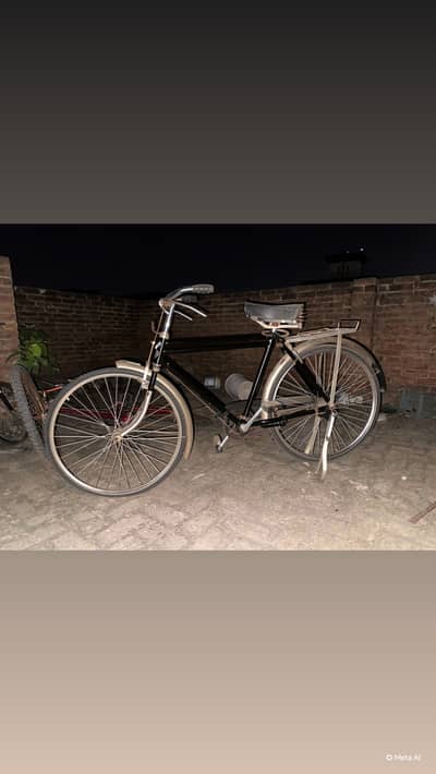Sohrab cycle medium size