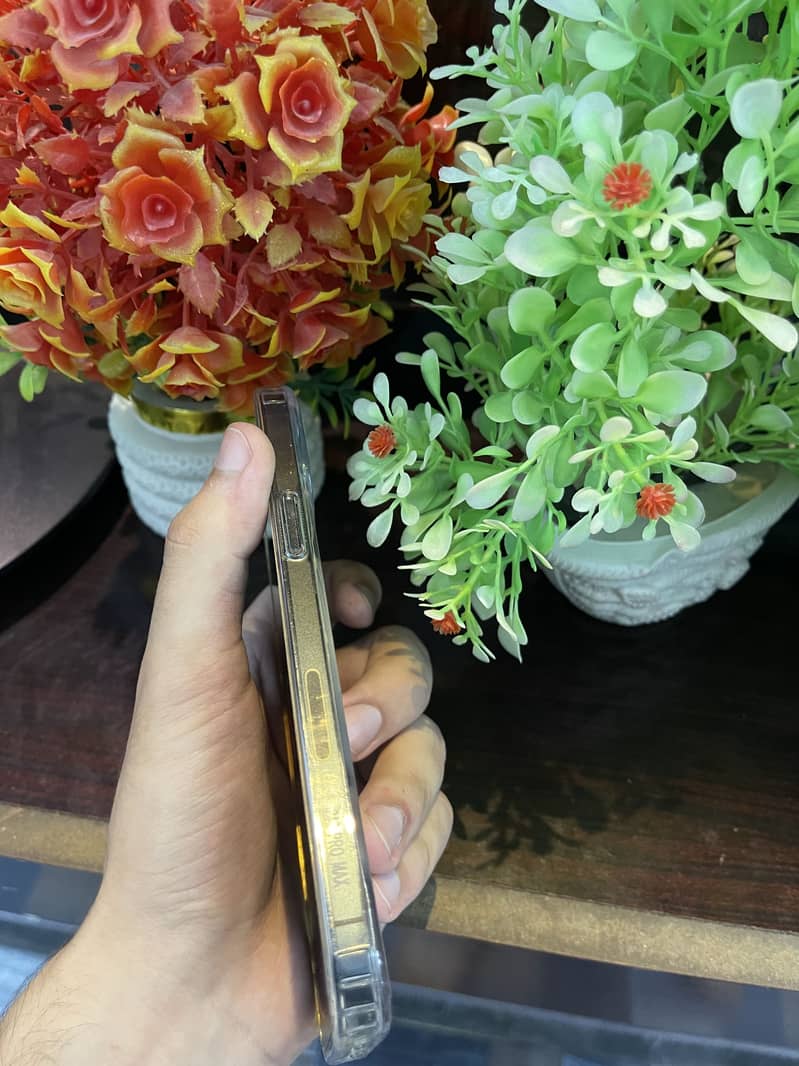 Apple iPhone 12 Pro Max 1