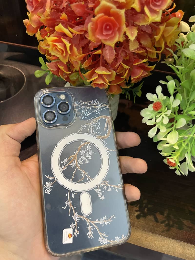 Apple iPhone 12 Pro Max 2