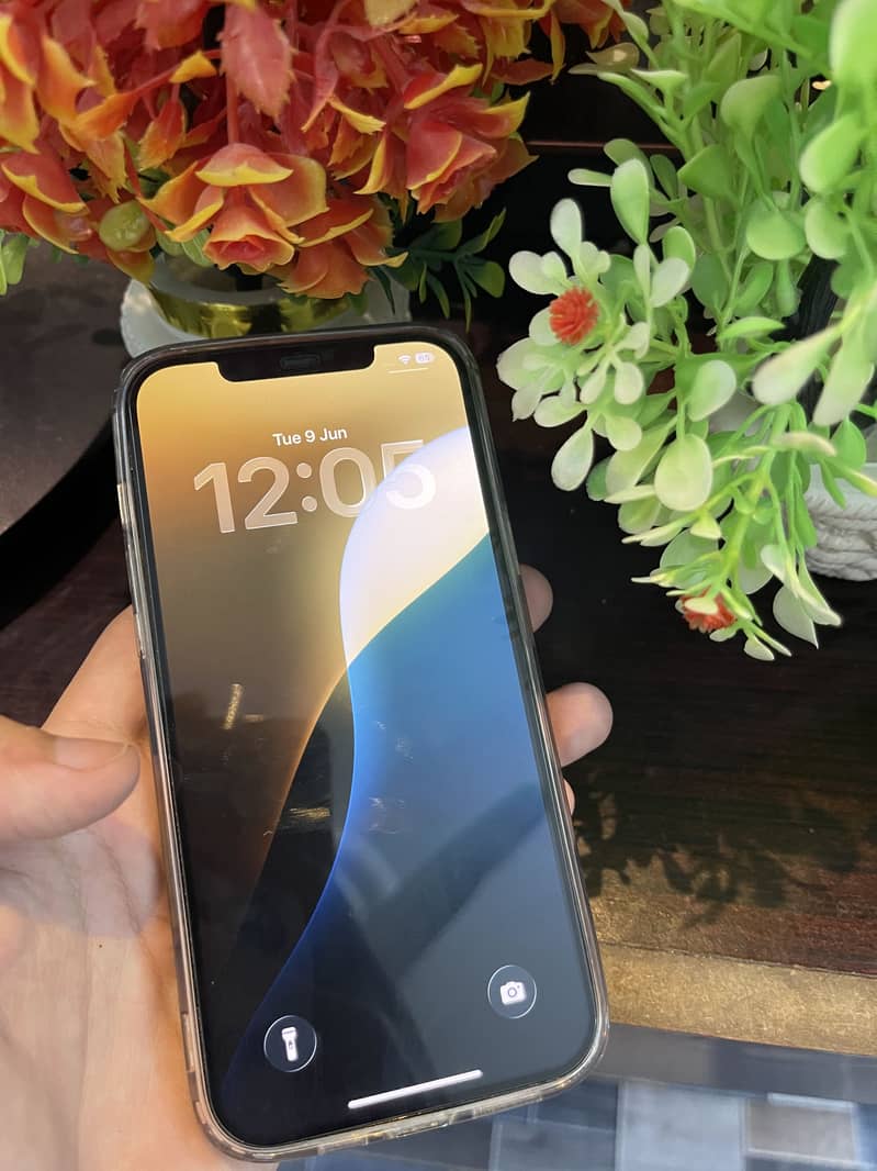 Apple iPhone 12 Pro Max 3