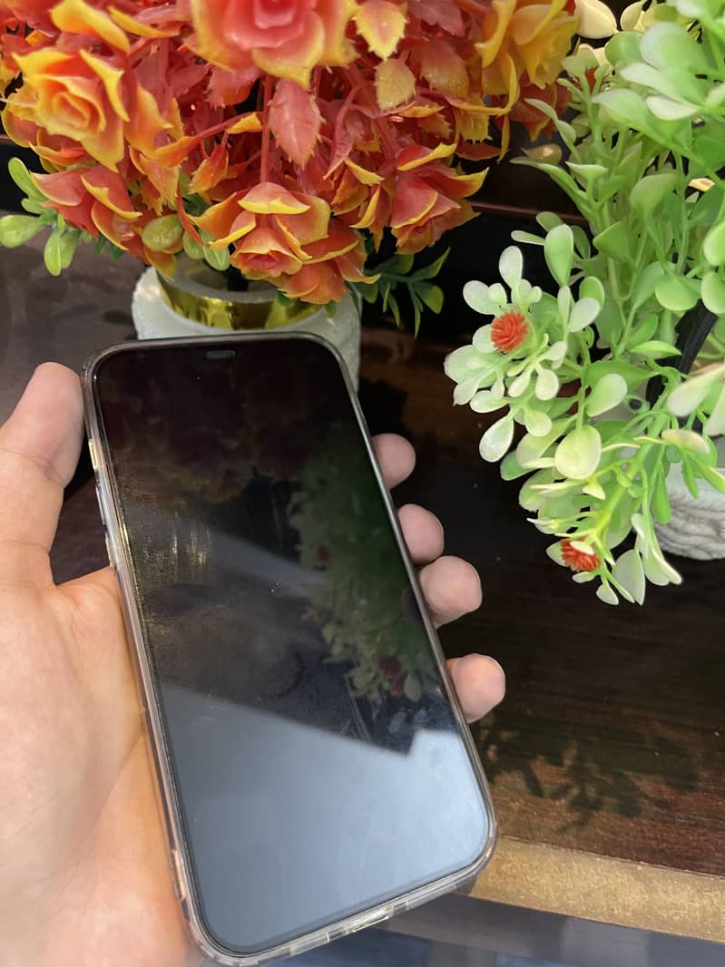 Apple iPhone 12 Pro Max 4