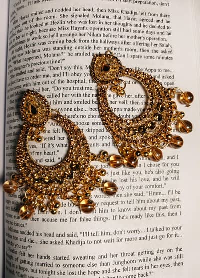 Beautiful Earrings  with Tikka