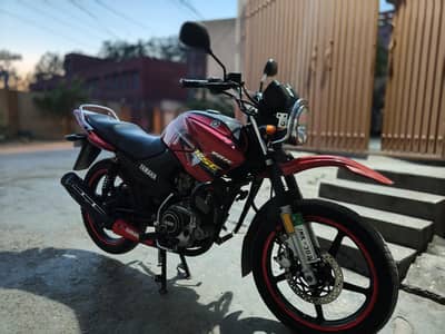 Yamaha YBR (Red) 2019