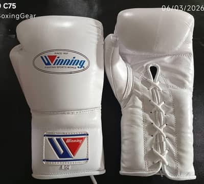 Professional Boxing Gloves for Sale