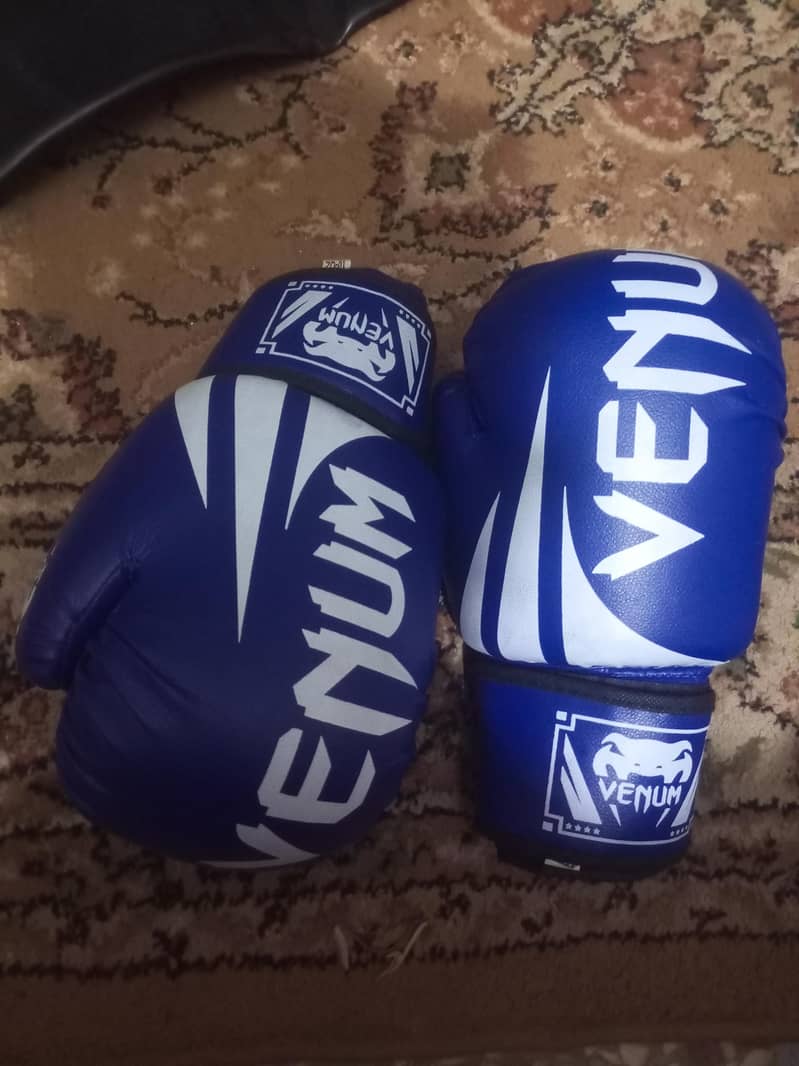 boxing gloves 3