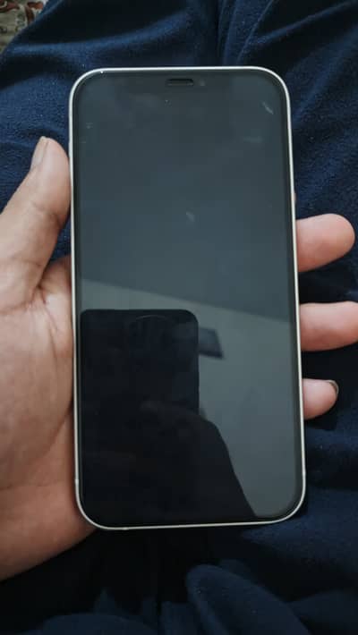 Iphone 12 PTA approved