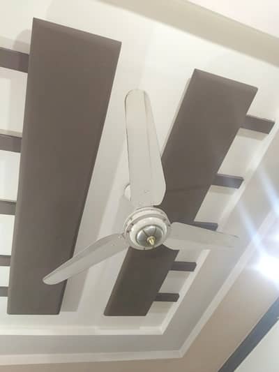 ceiling fan 56 inch copper winding no sound usd