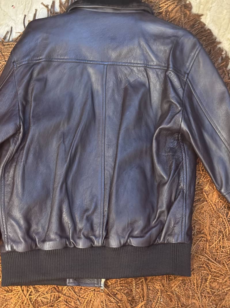 jacket 1