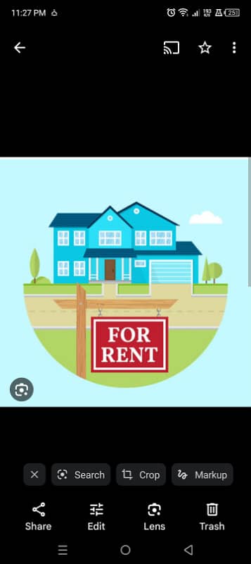 Big double store beautiful house available for rent in diamond city phease 2 near park