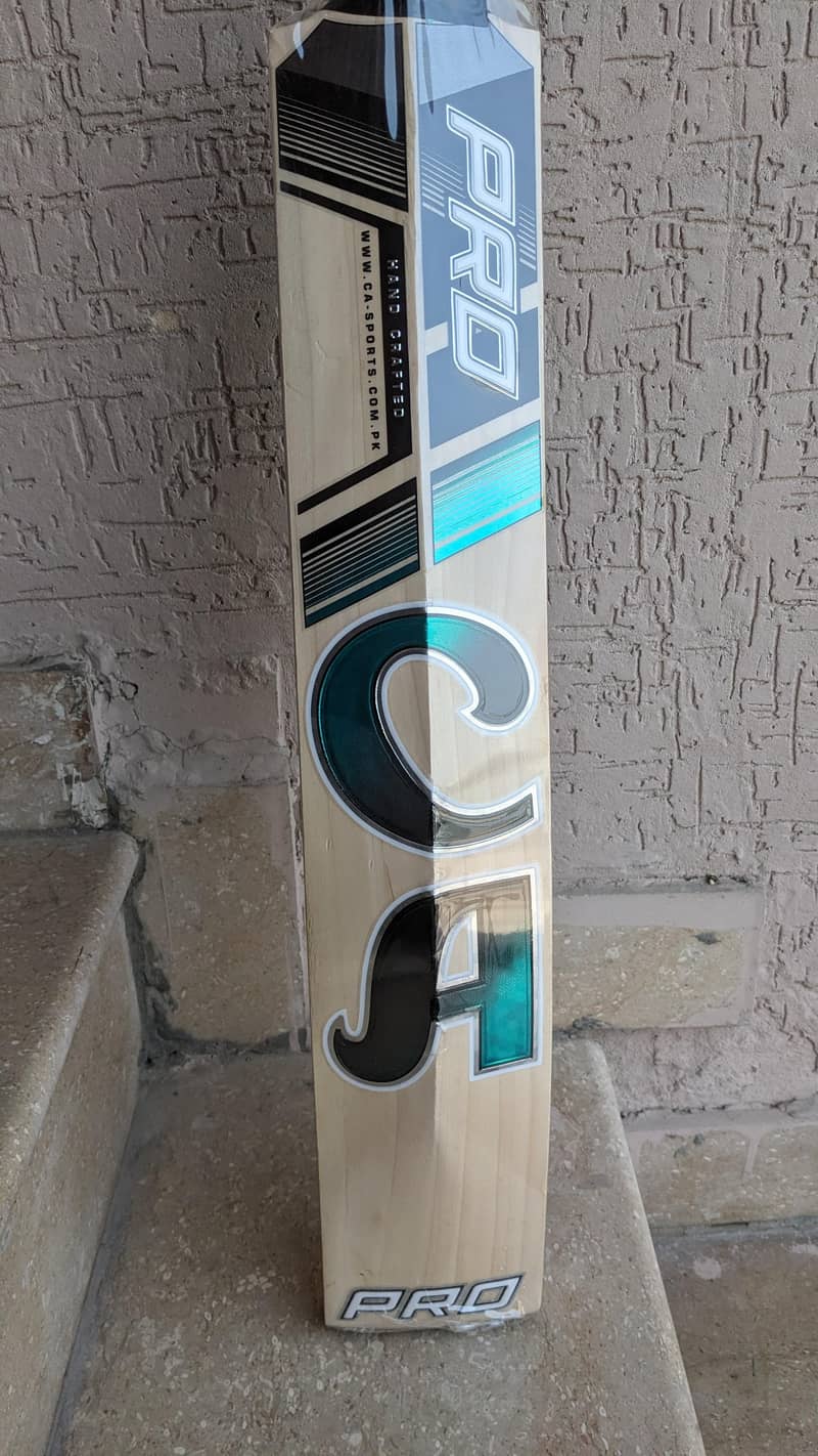 CA PRO 10000 BAT 1