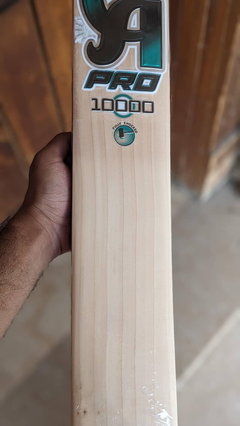 CA PRO 10000 BAT 2