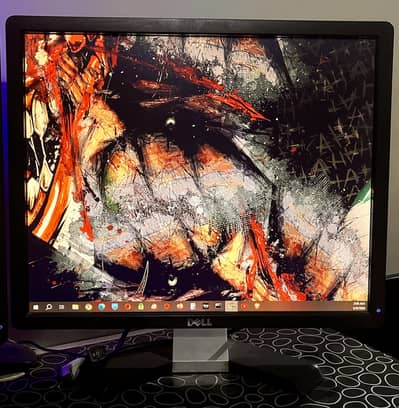 Dell 19" Professional Monitor (P1913S) - Used (Excellent Condition)