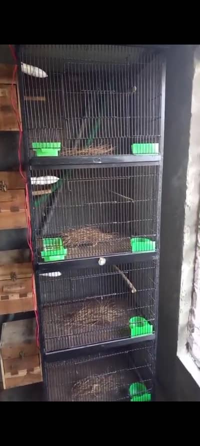Full angle 4 portion cage for sale