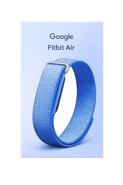 Google Fitbit Air